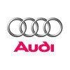 Audi dakdragers